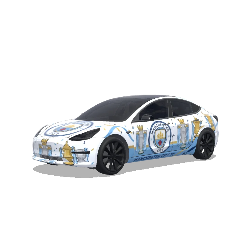 Tesla Model 3 custom wrap design