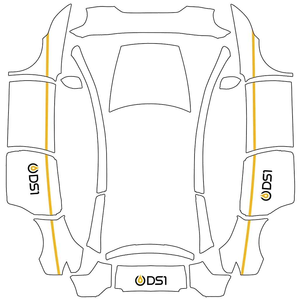 Model Y Wrap Design - flat wrap PNG for Model Y L Paint Shop
