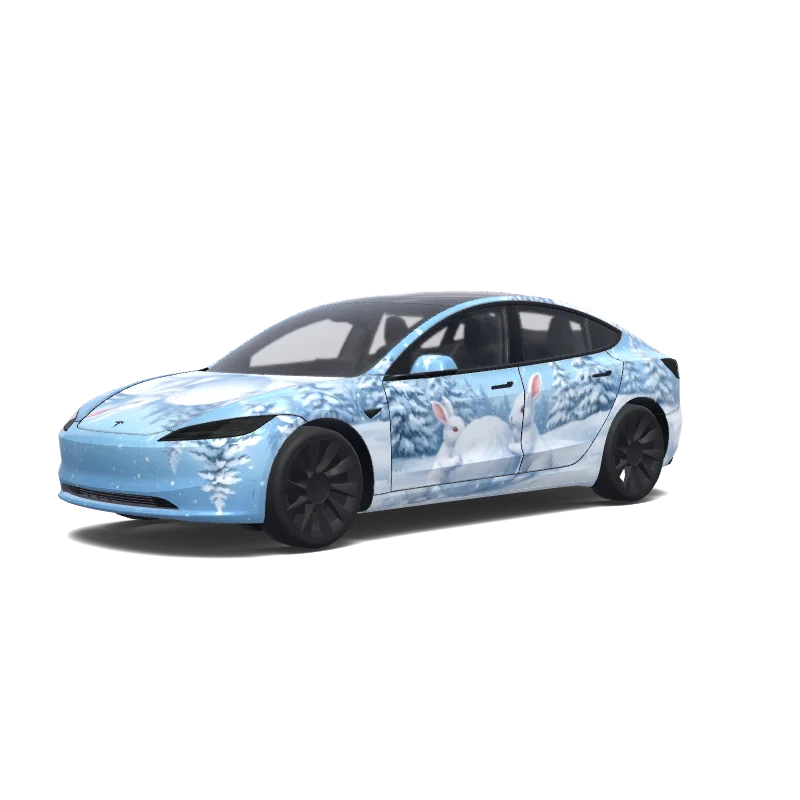 Individuelles Folierungsdesign für Tesla Model 3 (2024+ Standard/Premium)