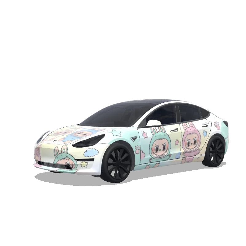 Covering personnalisé Tesla Model 3