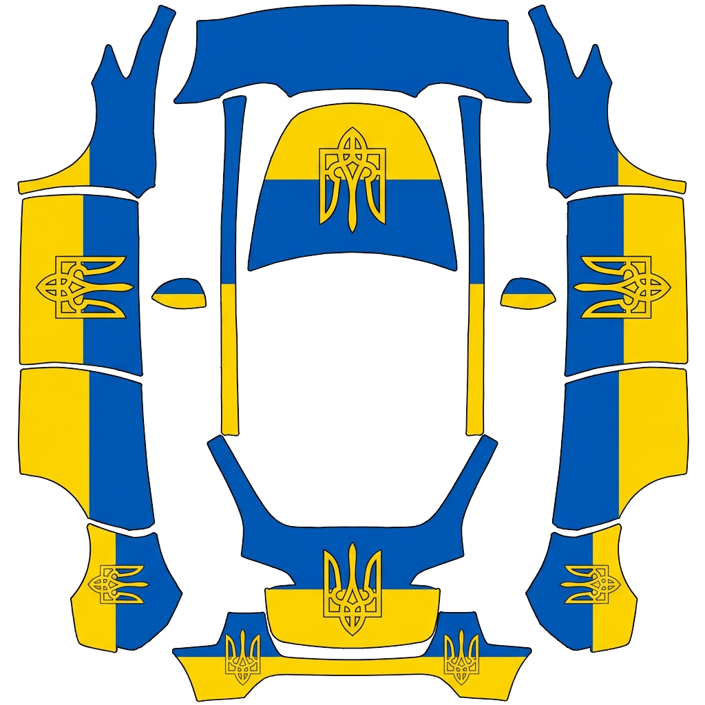 Model Y-folieringsdesign - flat wrap PNG for Model Y Paint Shop
