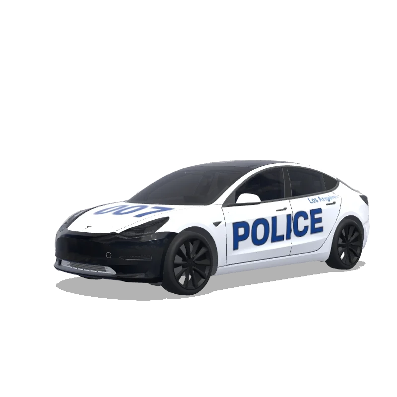 Tesla Model 3 カスタムラップデザイン