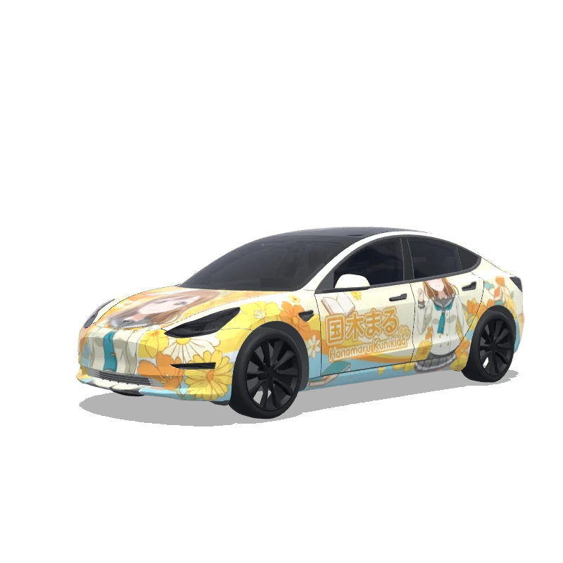 Tesla Model 3 custom wrap design