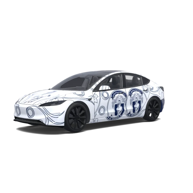 Individuelles Folierungsdesign für Tesla Model 3 (2024+ Performance)