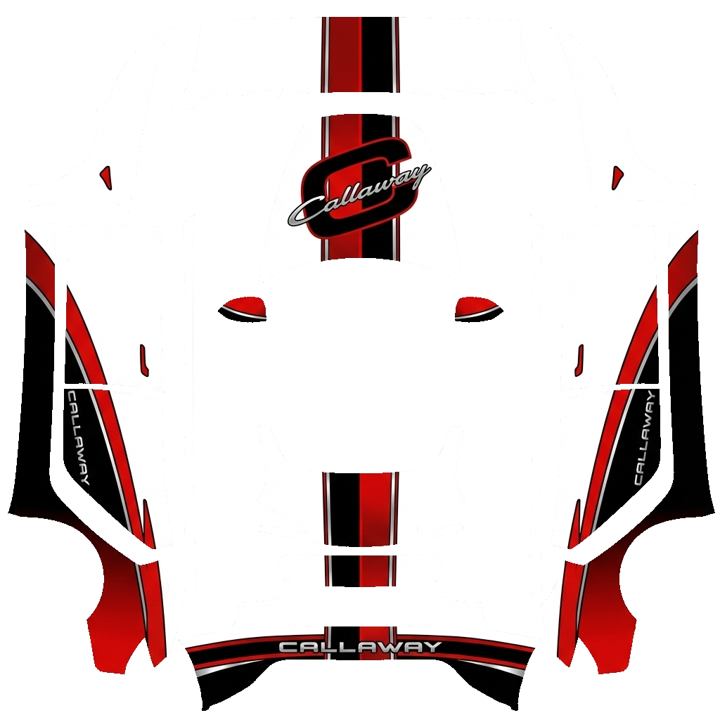Model 3 Wrap Design - flat wrap PNG for Model 3 (2024+ Standard/Premium) Paint Shop