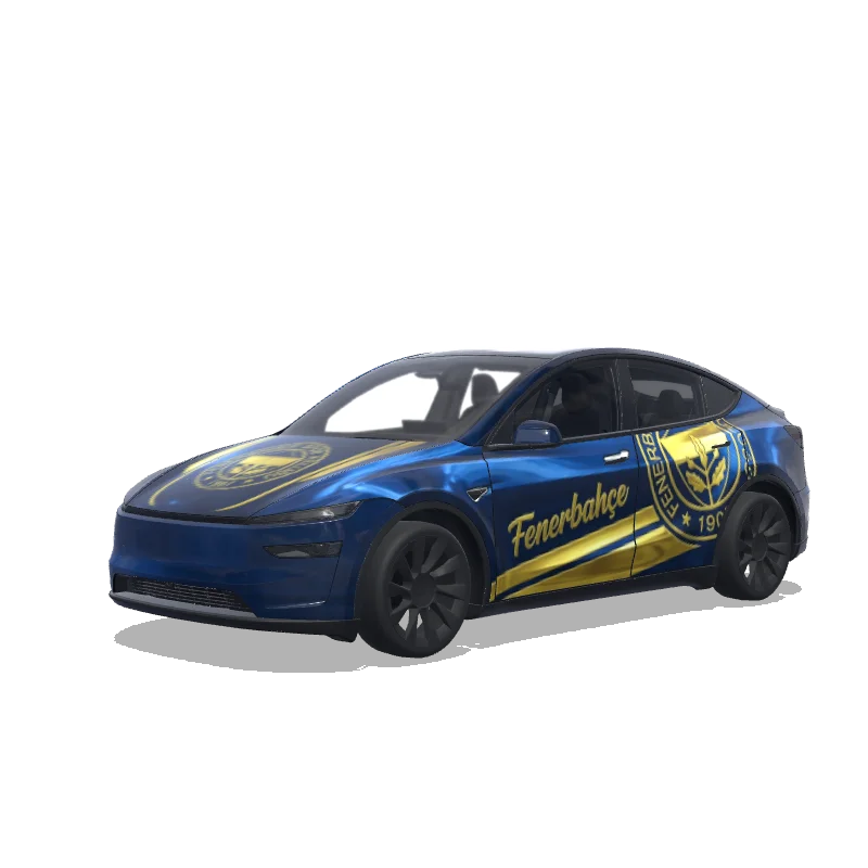 Tesla Model Y (2025+ Premium) 自定义涂装设计
