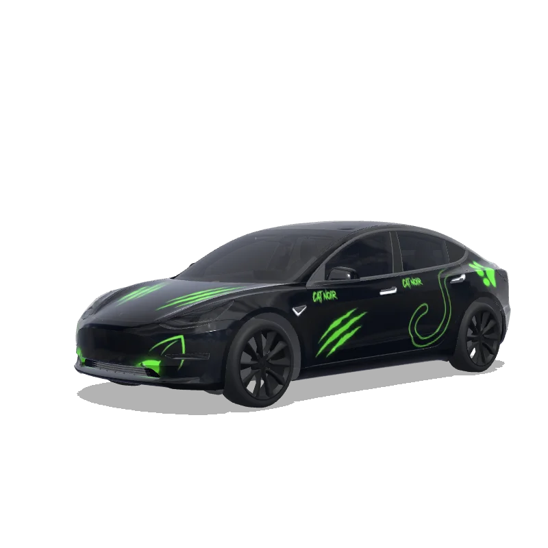 Tesla Model 3 커스텀 랩 디자인