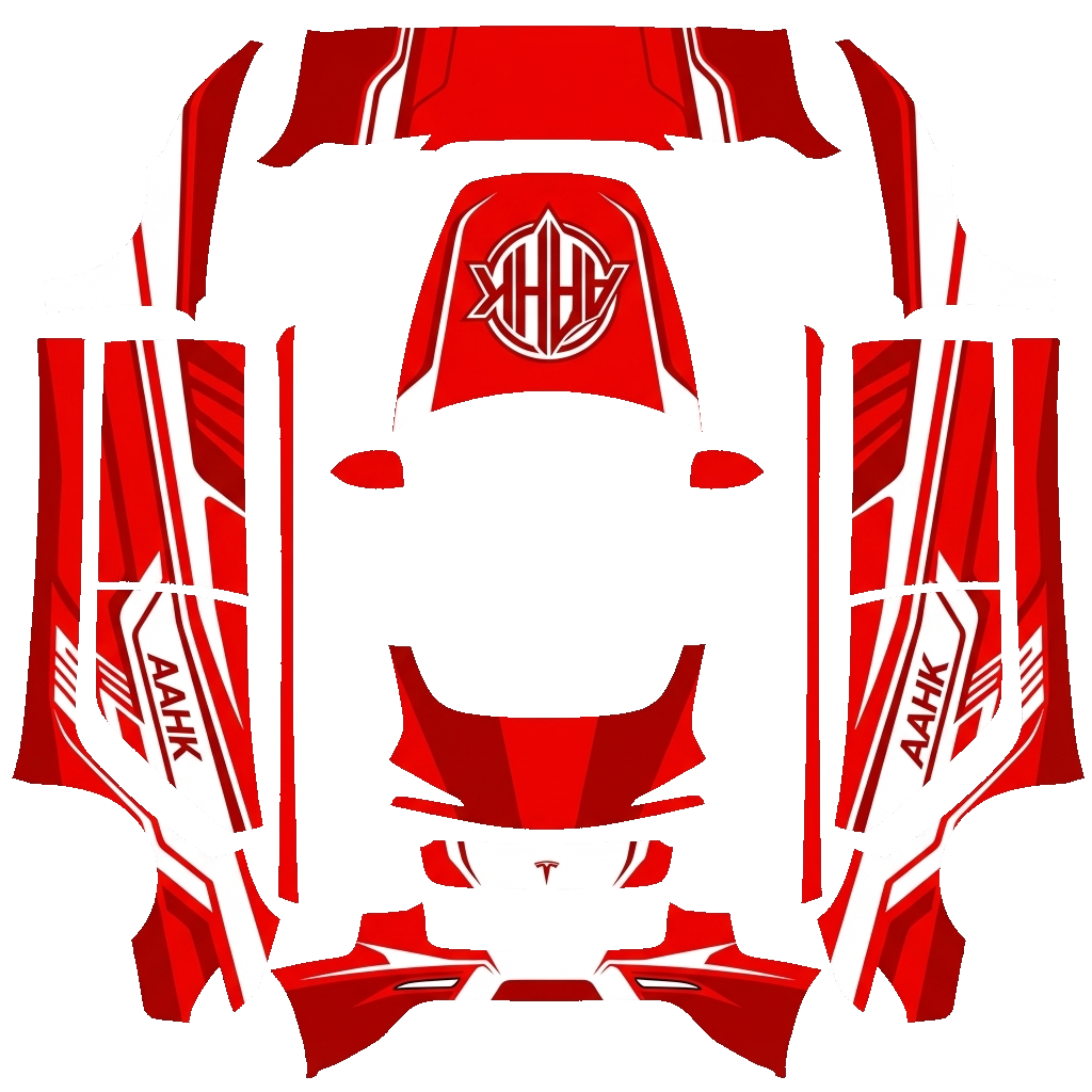 Model 3-folieringsdesign - flat wrap PNG for Model 3 (2024+ Standard/Premium) Paint Shop