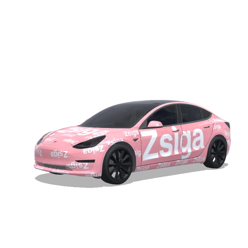 Tesla Model 3 カスタムラップデザイン